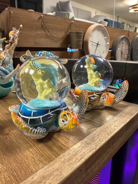 本日もたくさん新入荷！
ハワイアン雑貨ではホヌのスノードームやファブリックボックス、クッションまで様々入荷ー
その他にも大人気のティッシュケースも数量限定特価で入荷しましたー

ぜひぜひお早めに店頭でご覧ください！

#ハワイアン雑貨 #ティッシュケース #スノードーム #クッション #武蔵小山